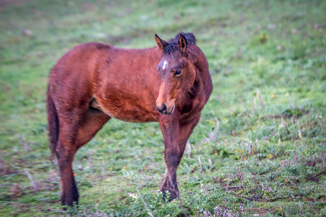 20151105180628 101656