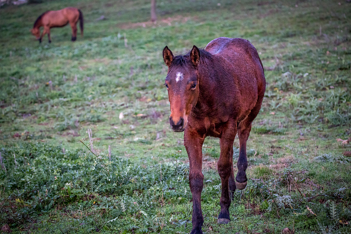 20151105180645 101668