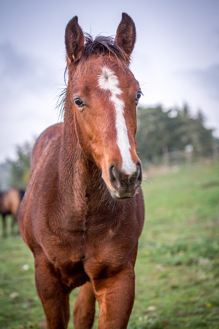 20151105180750 101687