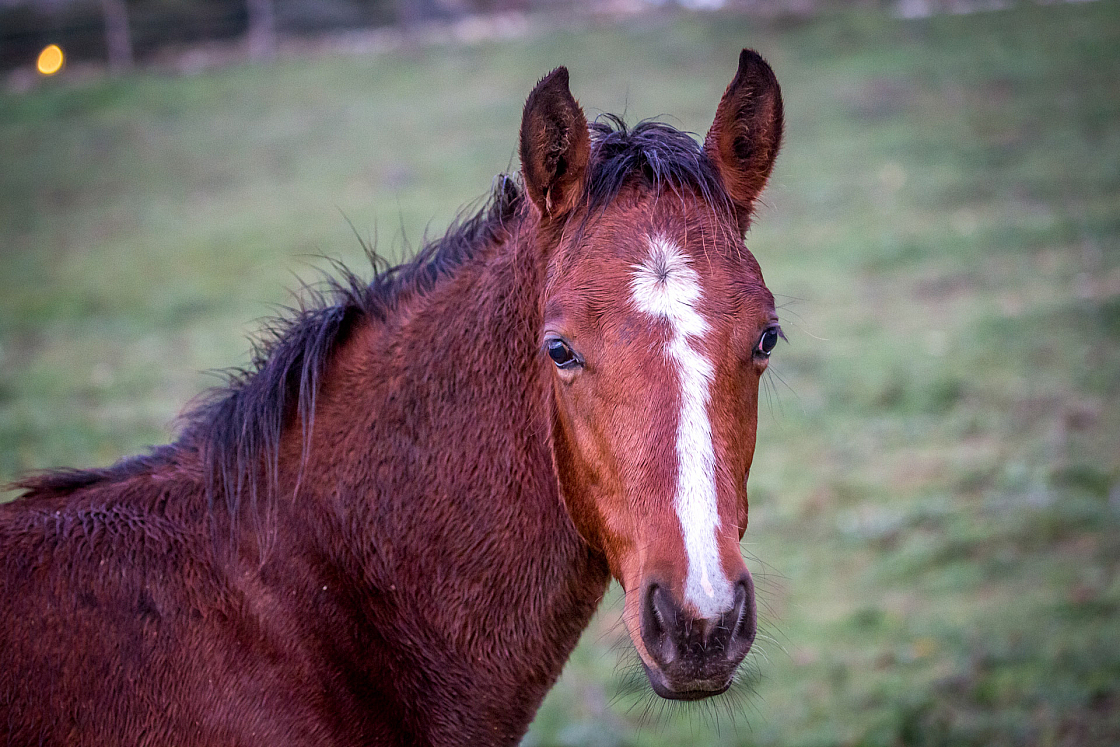 20151105180809 101695