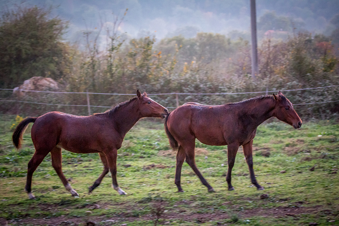 20151105181435 101762