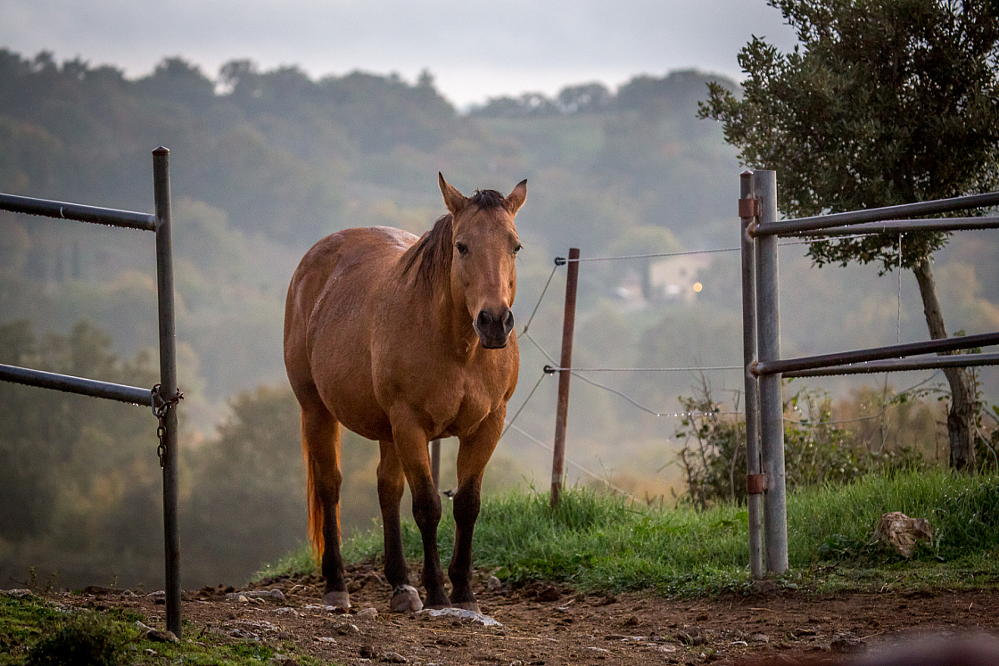 20151105181528 101770