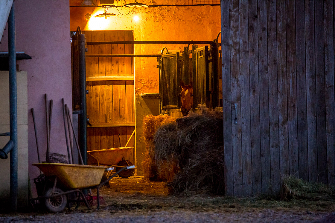 20151105182222 101779