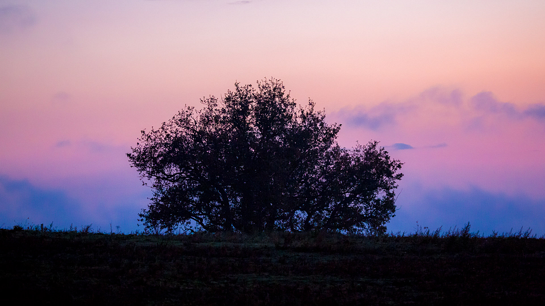 20151105182926 101795