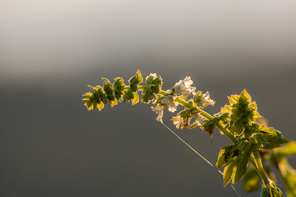 20151102172649 101304