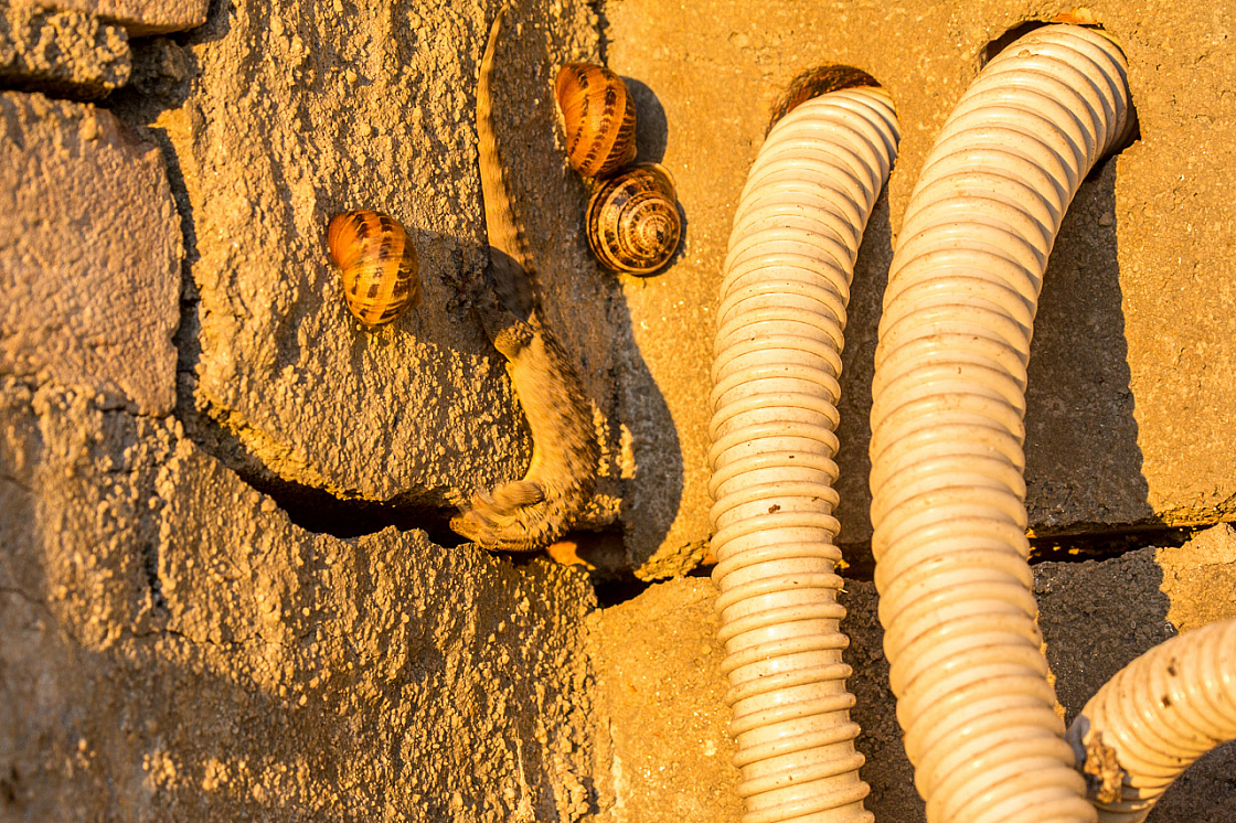 20151102174508 101422