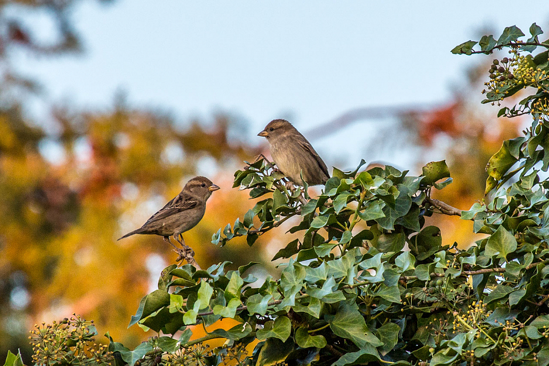 20151102174949 101480