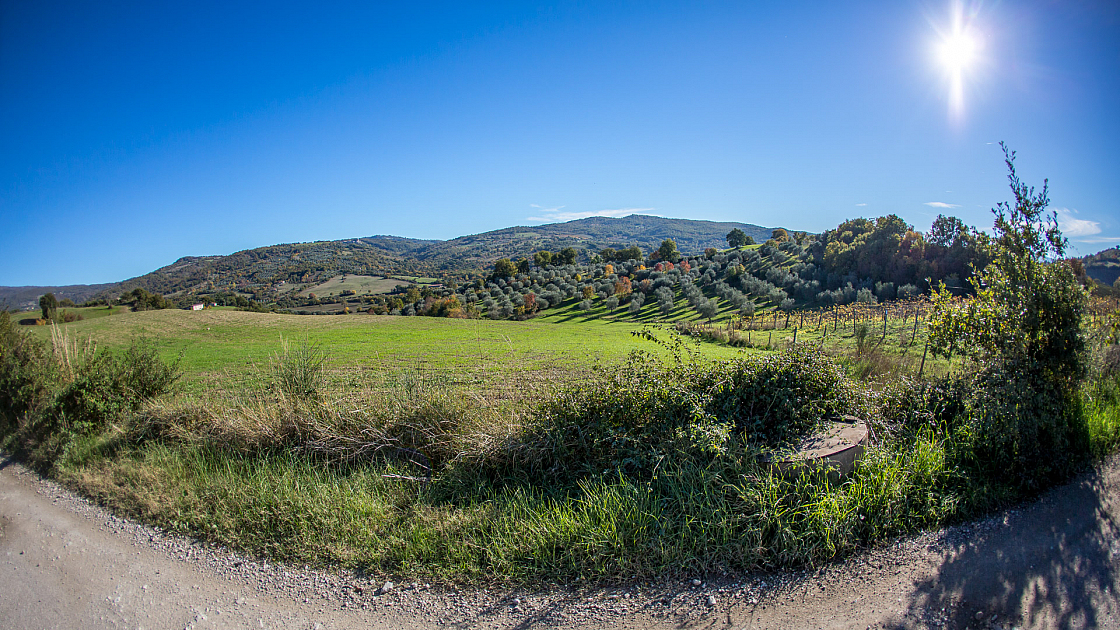 20151108150851 101934