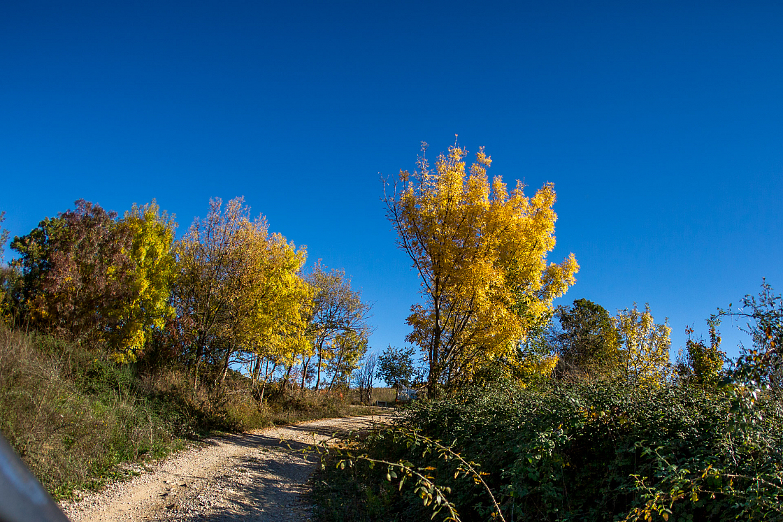 20151108151650 101953