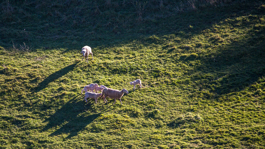 20151108161945 102007