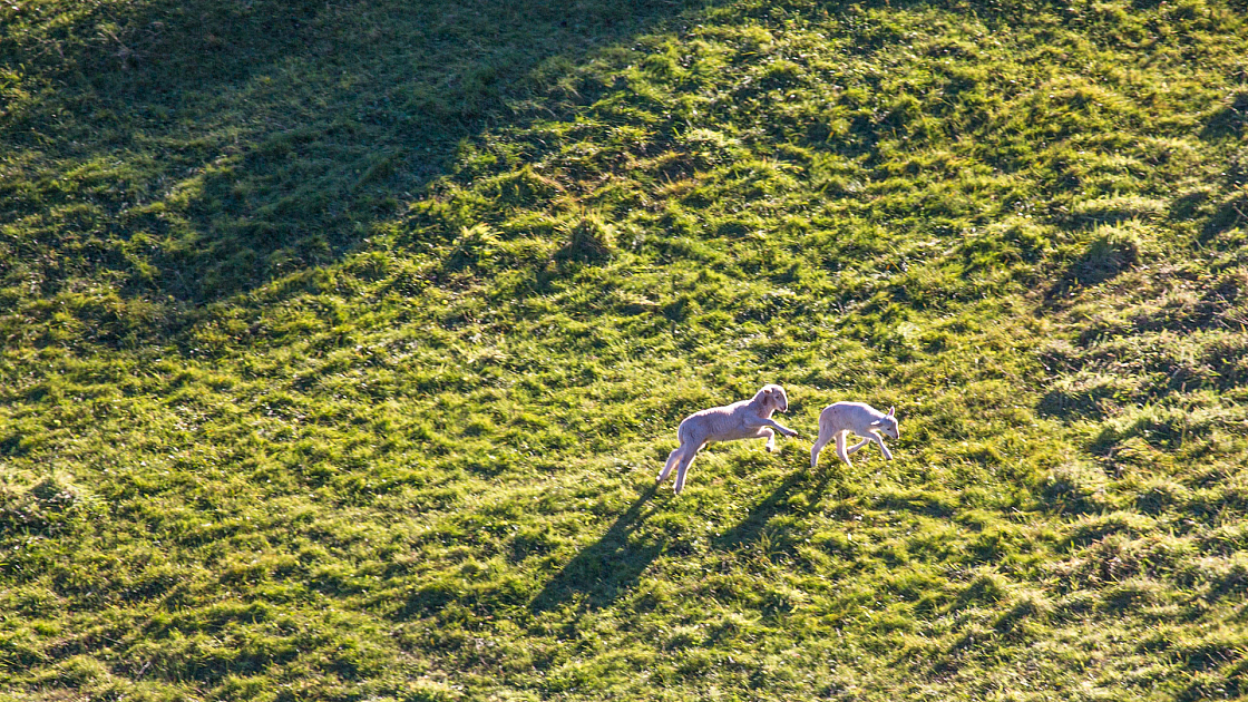 20151108161948 102012