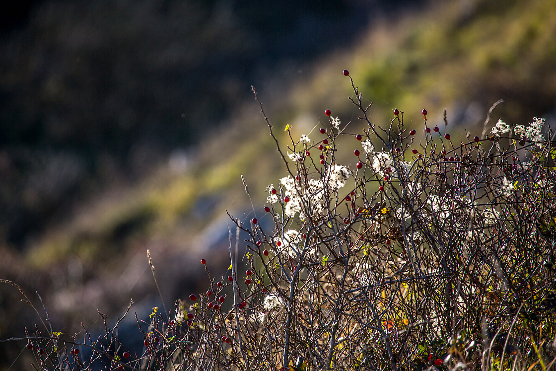 20151108163018 102076