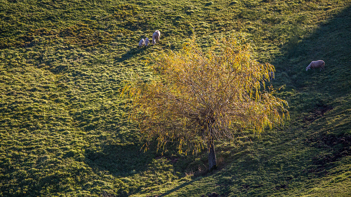 20151108163558 102096