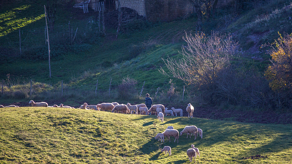 20151108164703 102139