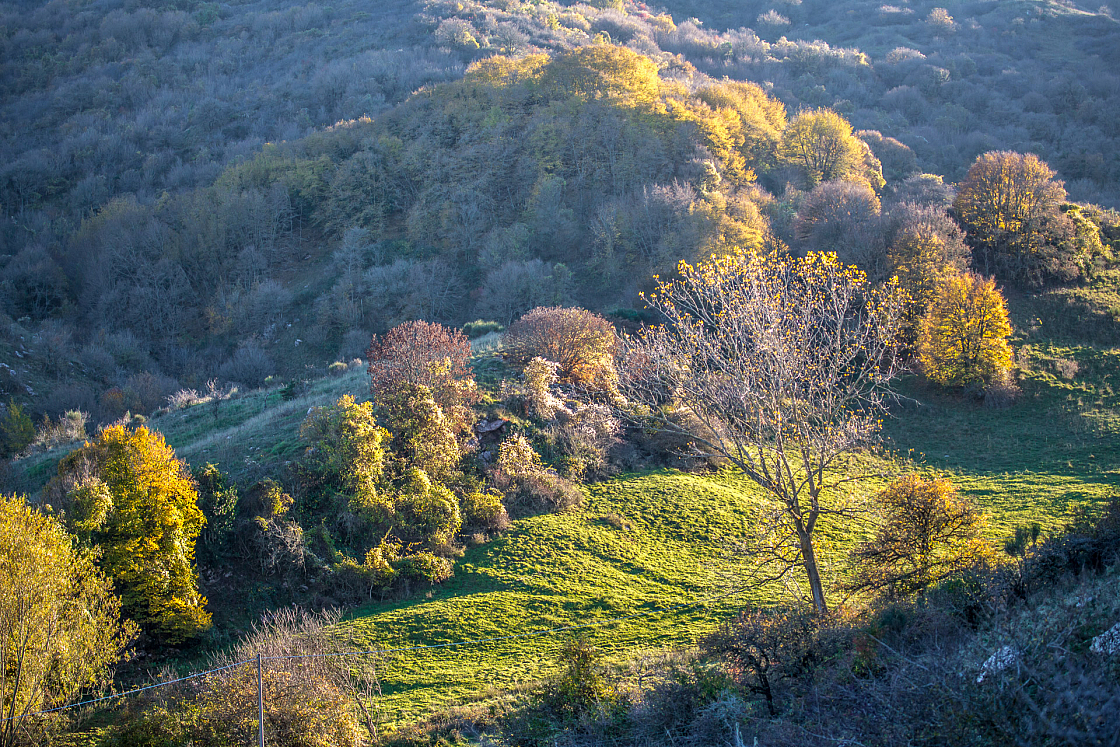 20151108165606 102196