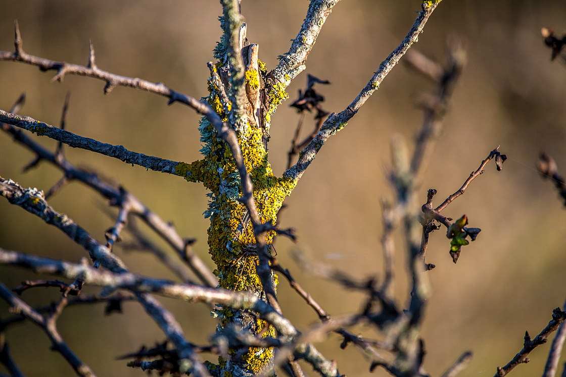 20151108165718 102207