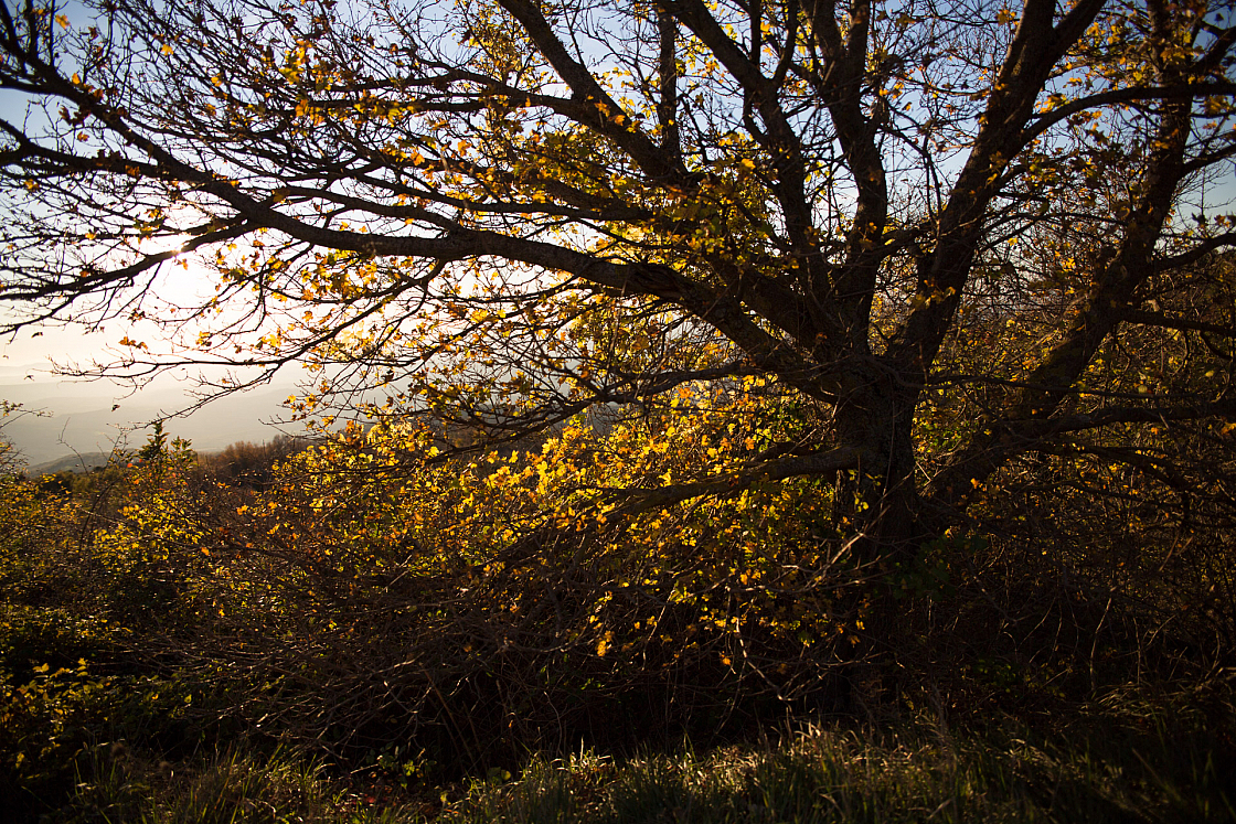 20151108172108 102313