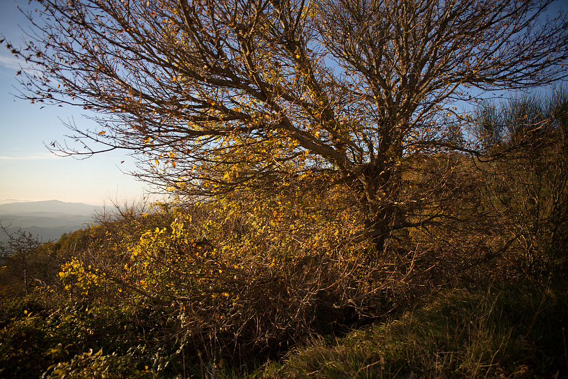 20151108172109 102315