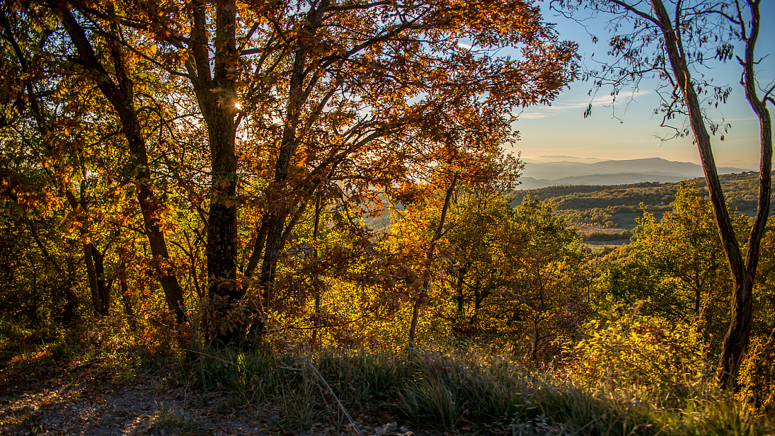 20151108172636 102361