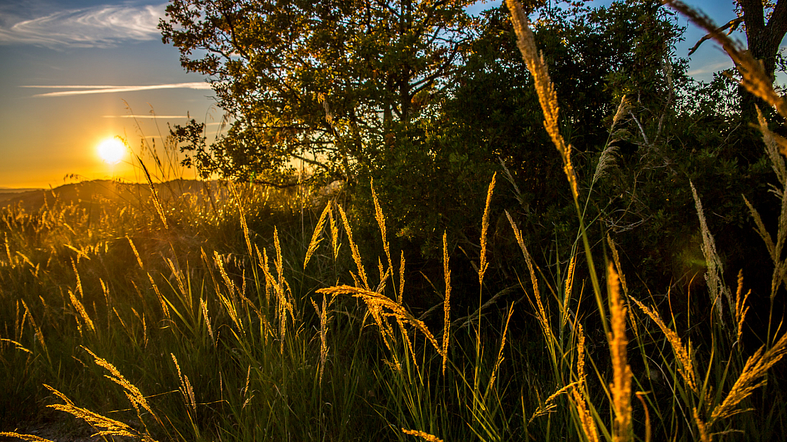 20151108173746 102435