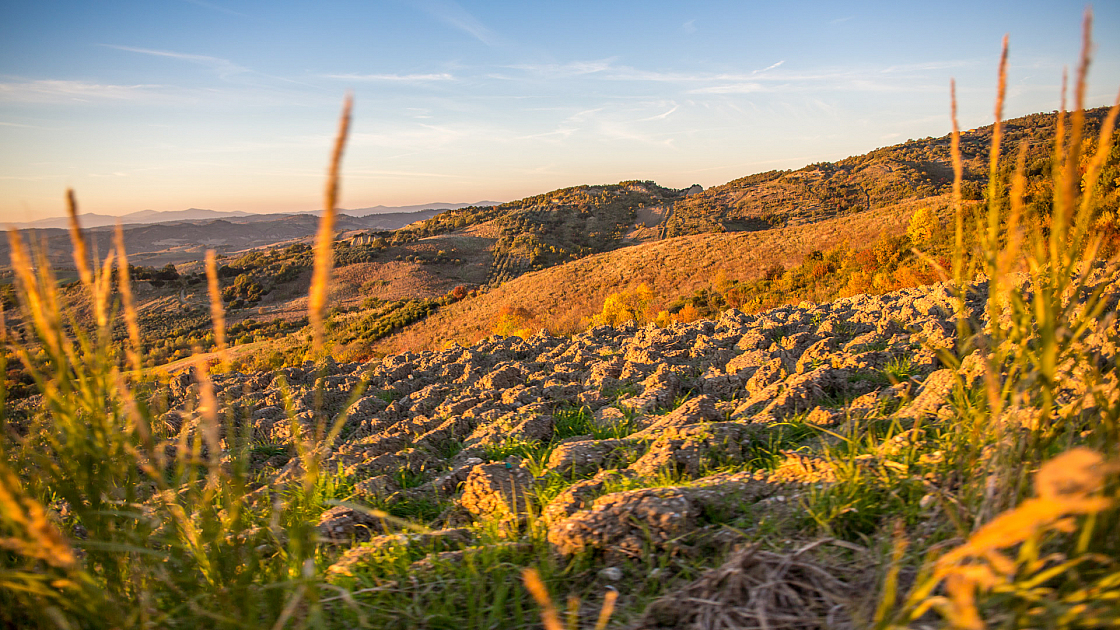 20151108173824 102460