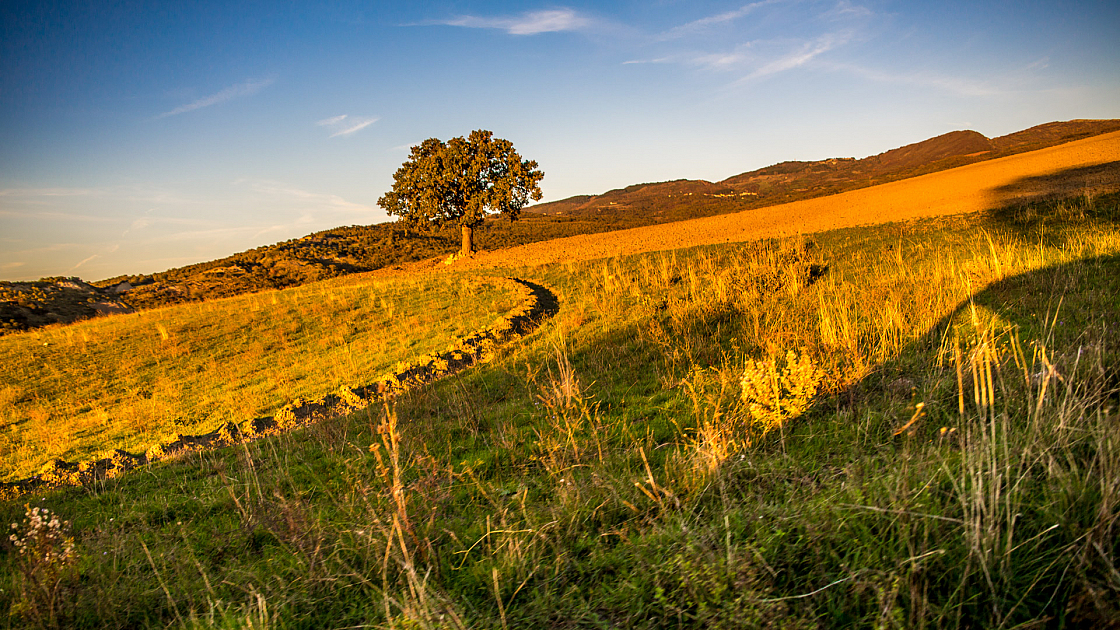 20151108173932 102481