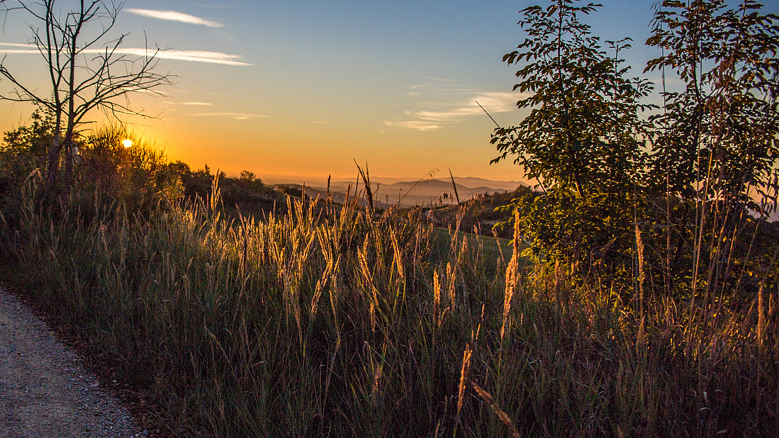 20151108174622 102514