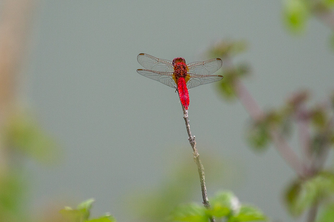 20150824131957 97453