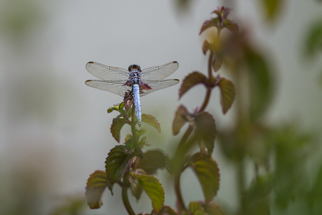 20150824132333 97495