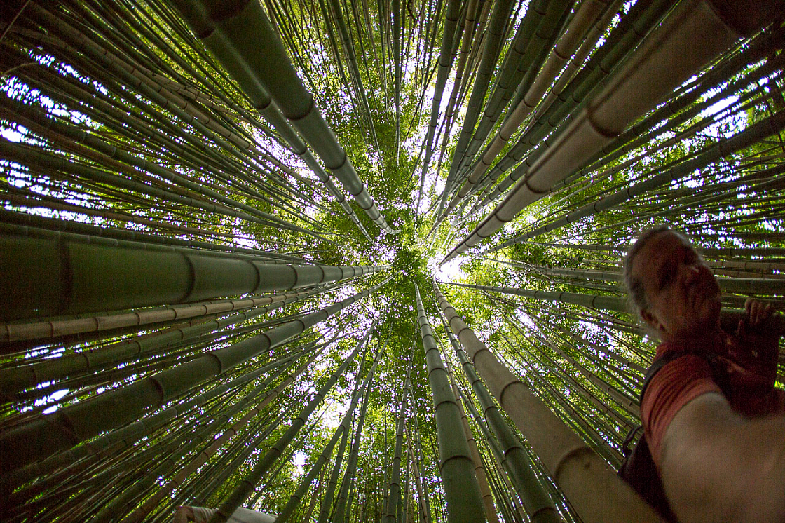 20150824170037 97809