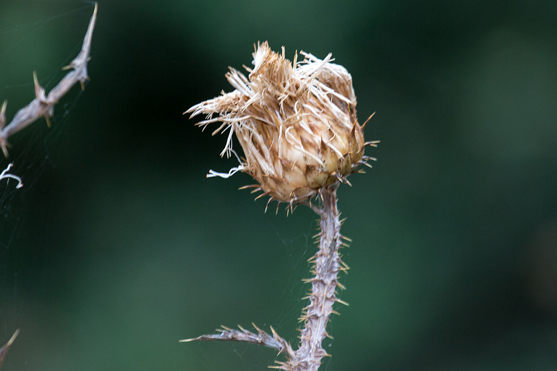 20150815192048 94314