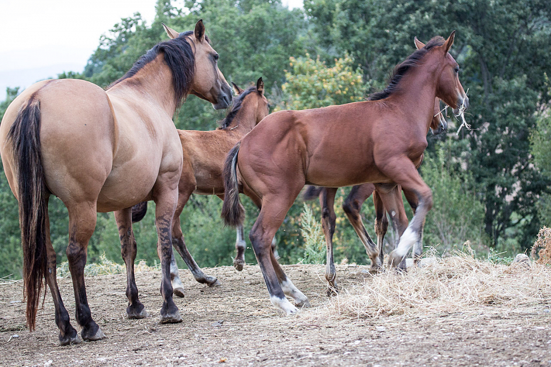 20150815192908 94380