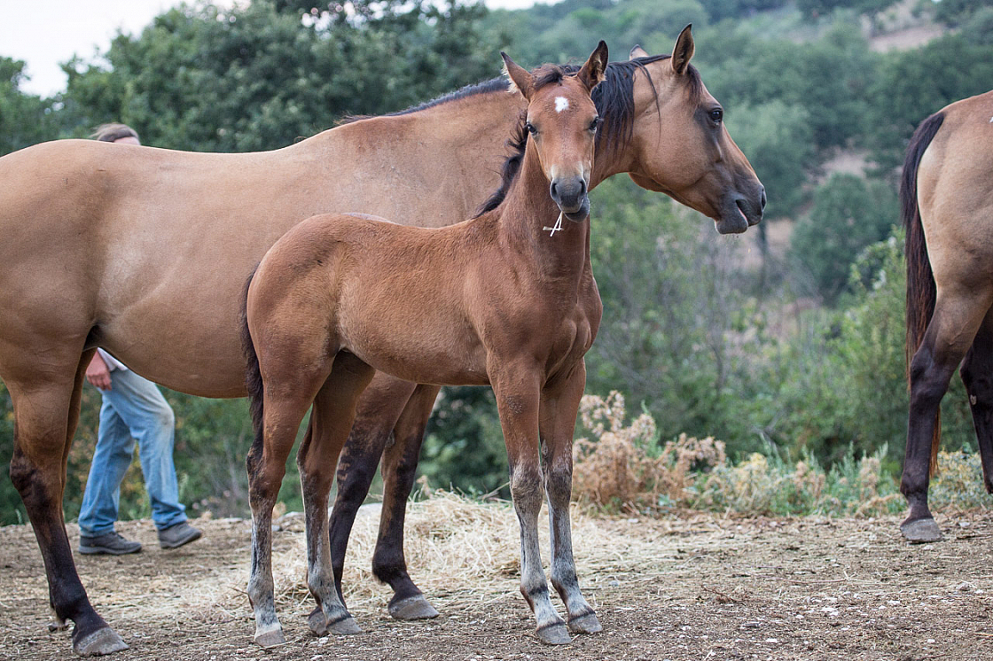 20150815192939 94404