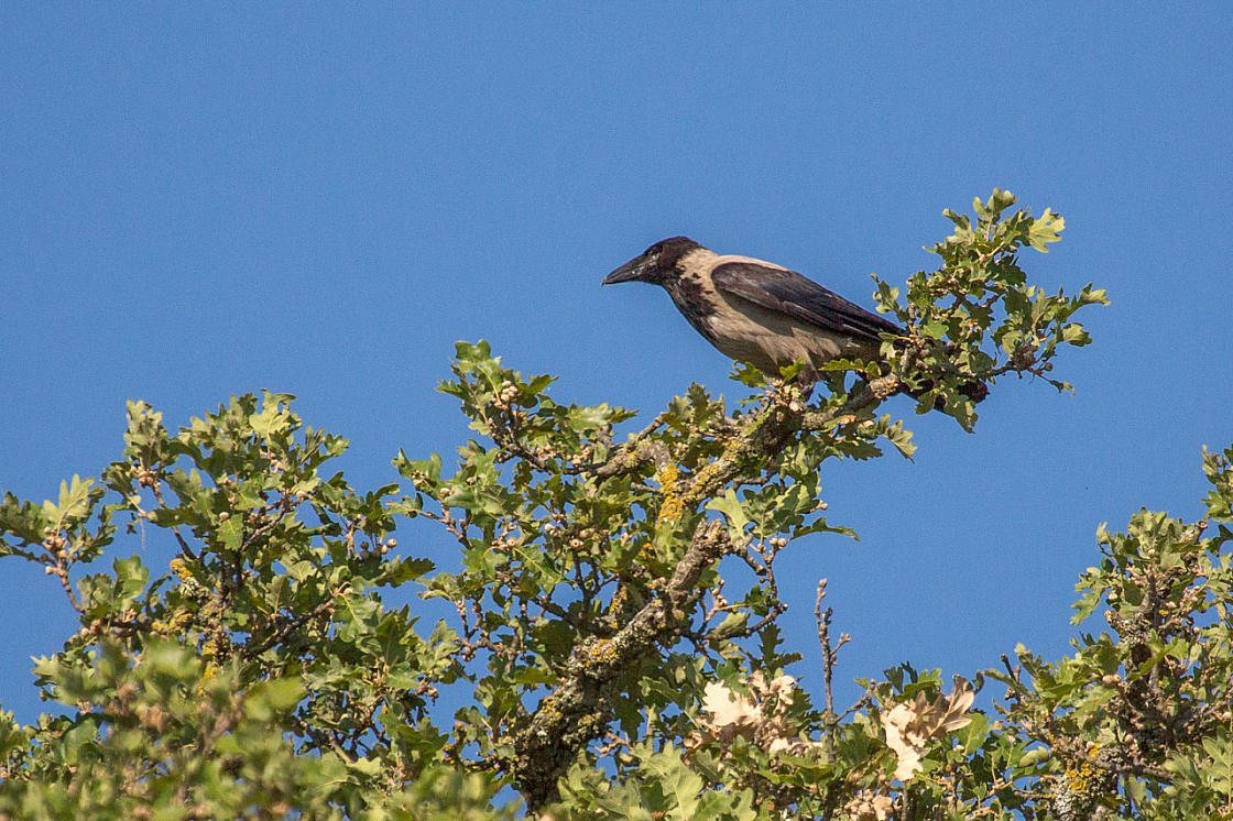 20150822170923 96773