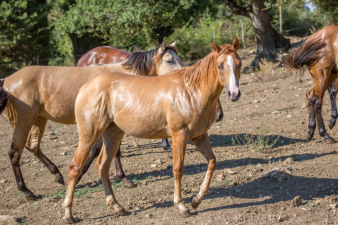 20150822171401 96784