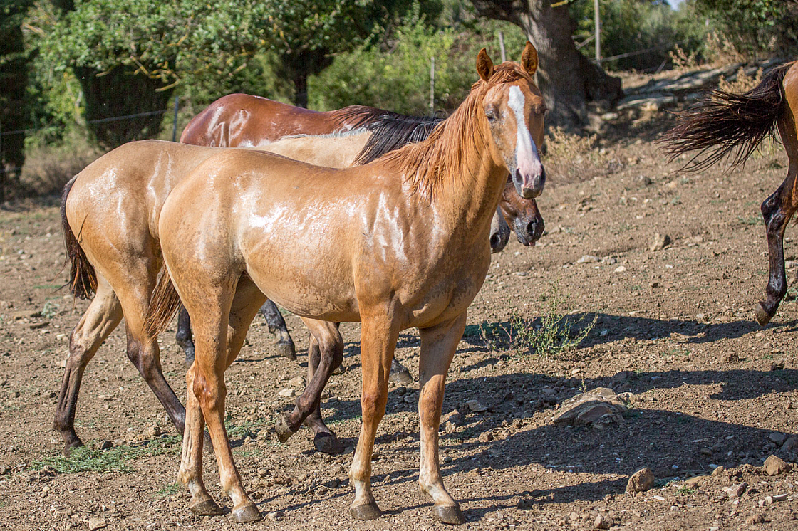 20150822171402 96786