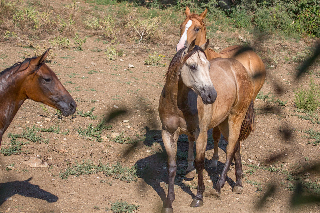 20150822171502 96817