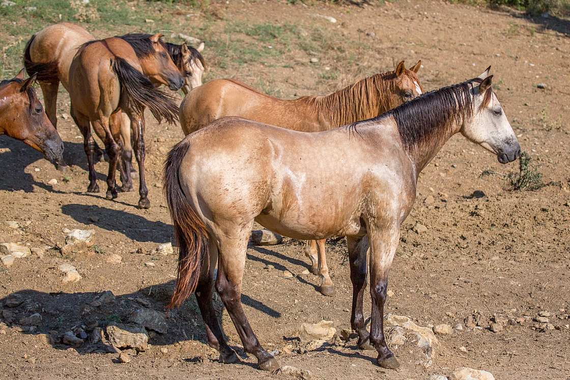 20150822171544 96829