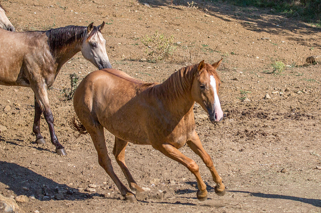 20150822171557 96837