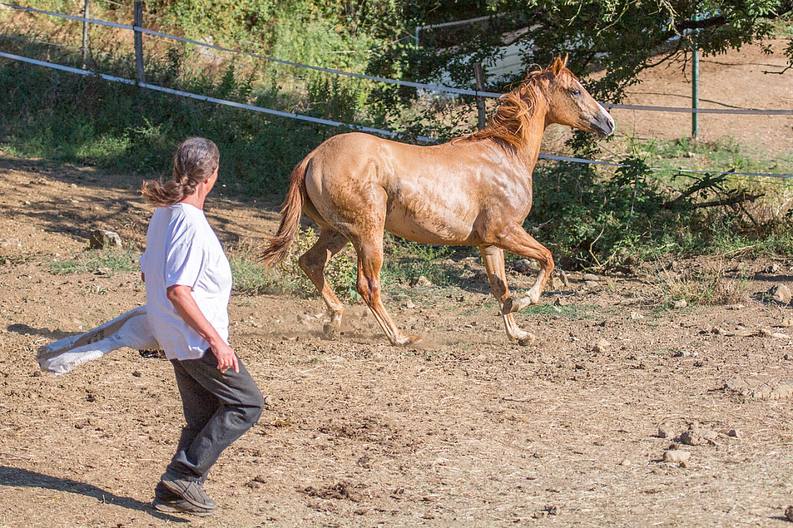 20150822171608 96853