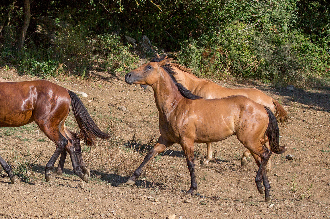 20150822171625 96861