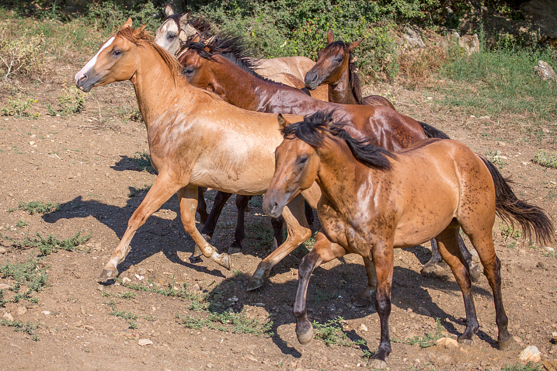 20150822171659 96875