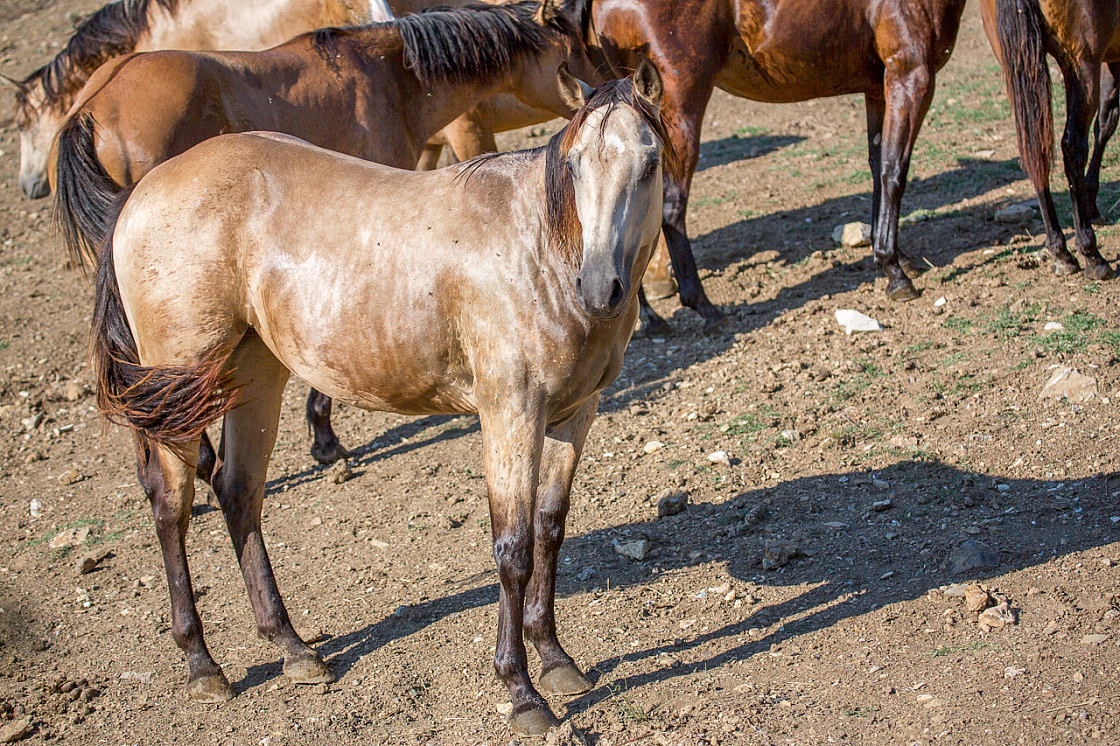 20150822171723 96893