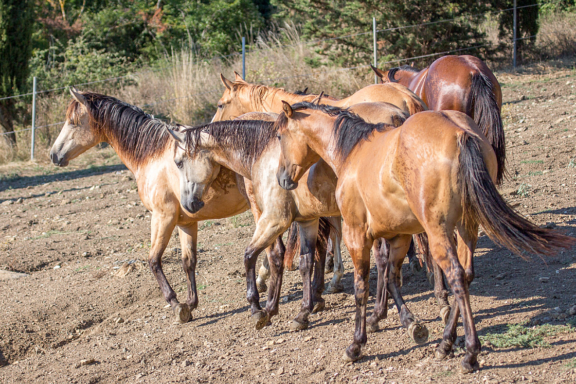 20150822171824 96910