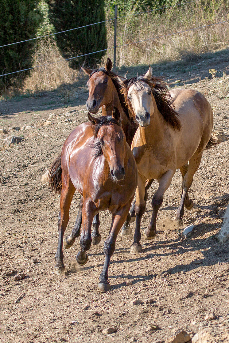 20150822171832 96918