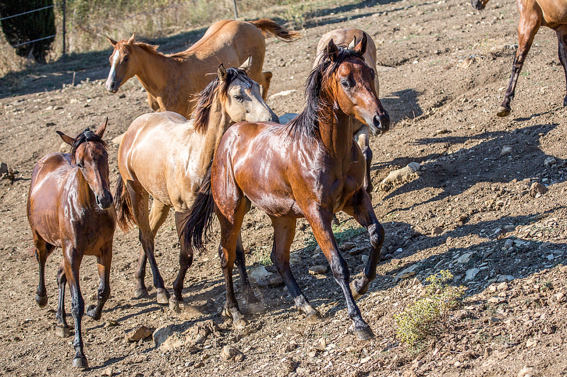 20150822171833 96921