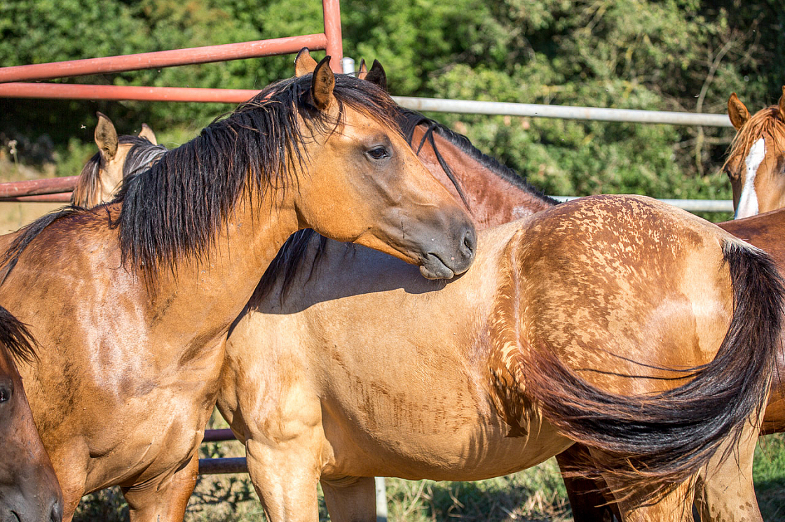 20150822172403 96998