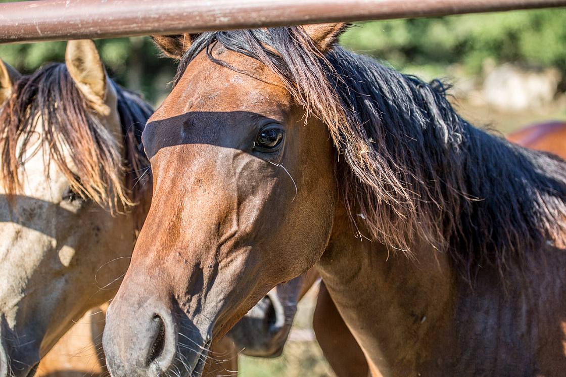 20150822172502 97004