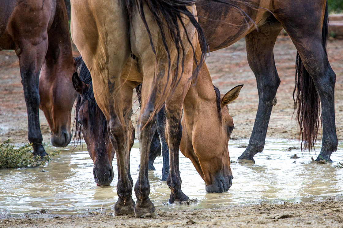 20150816115617 94740