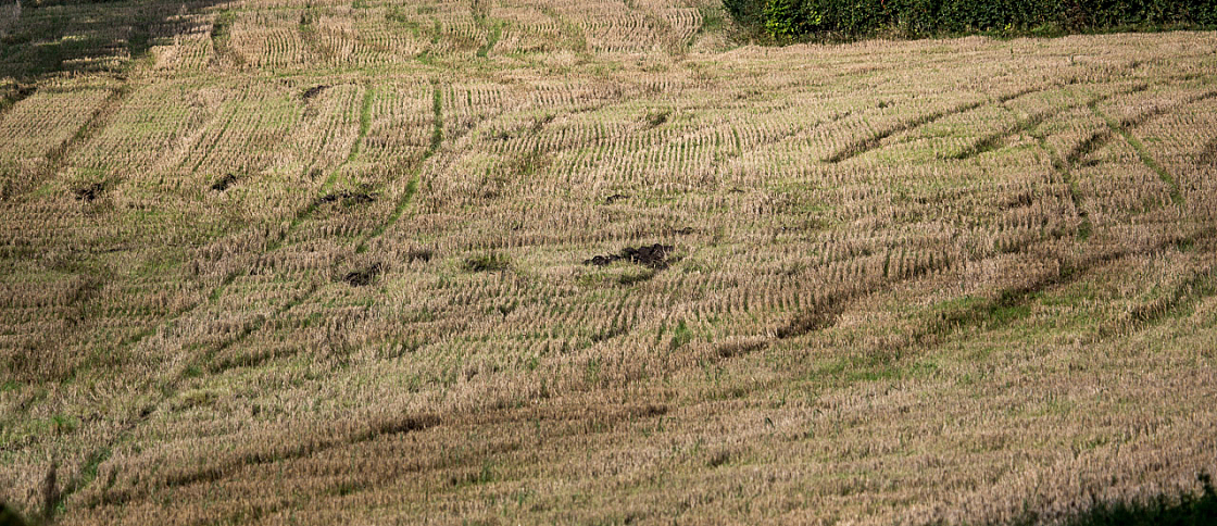 20150924111510 98623